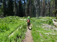 YosemiteCreek 081 : YosemiteCreek
